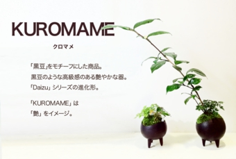 Kuromame☆.jpg